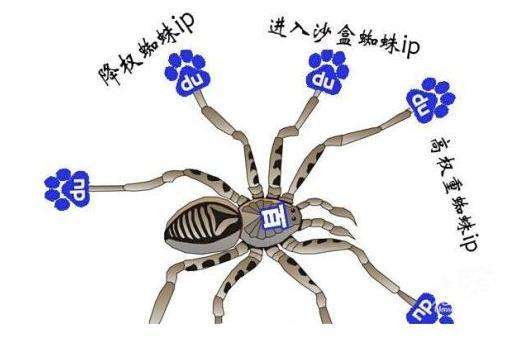 搜索引擎百度蜘蛛详解，百度蜘蛛IP分析