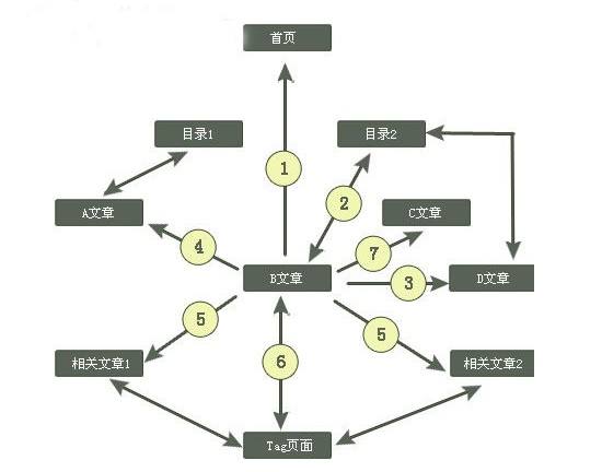 网站SEO有效布局内链让蜘蛛抓取