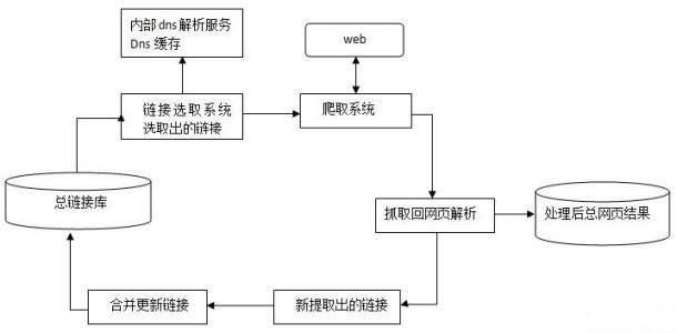 百度蜘蛛抓取规律，如何让蜘蛛经常来
