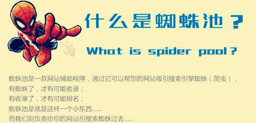 什么是蜘蛛池，详解蜘蛛池的外推方法与技巧