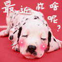 最近忙啥
