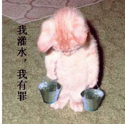 QQ搞笑表情