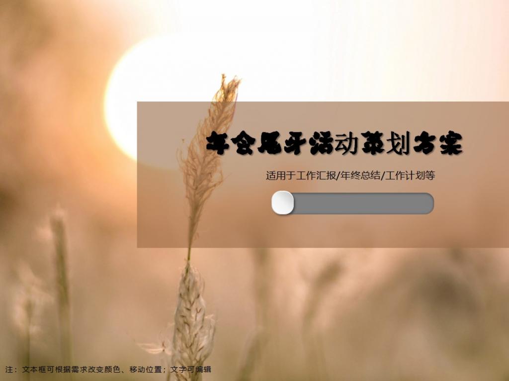 年会尾牙活动方案PPT模板