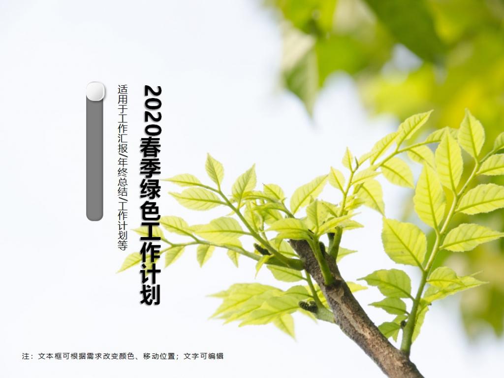 2020年绿色小清新工作计划PPT模板