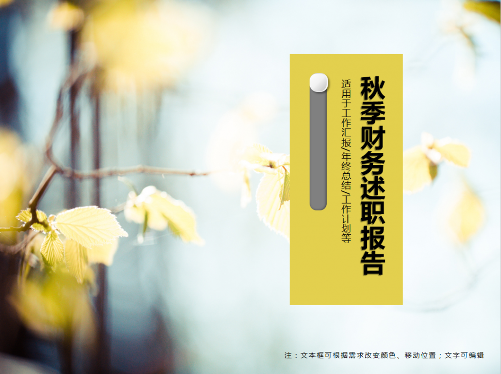 秋季财务个人工作述职报告PPT模板
