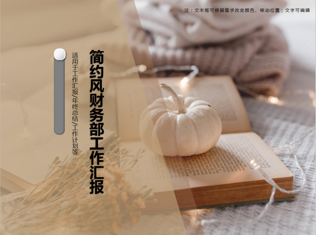 简约风财务部工作汇报PPT模板