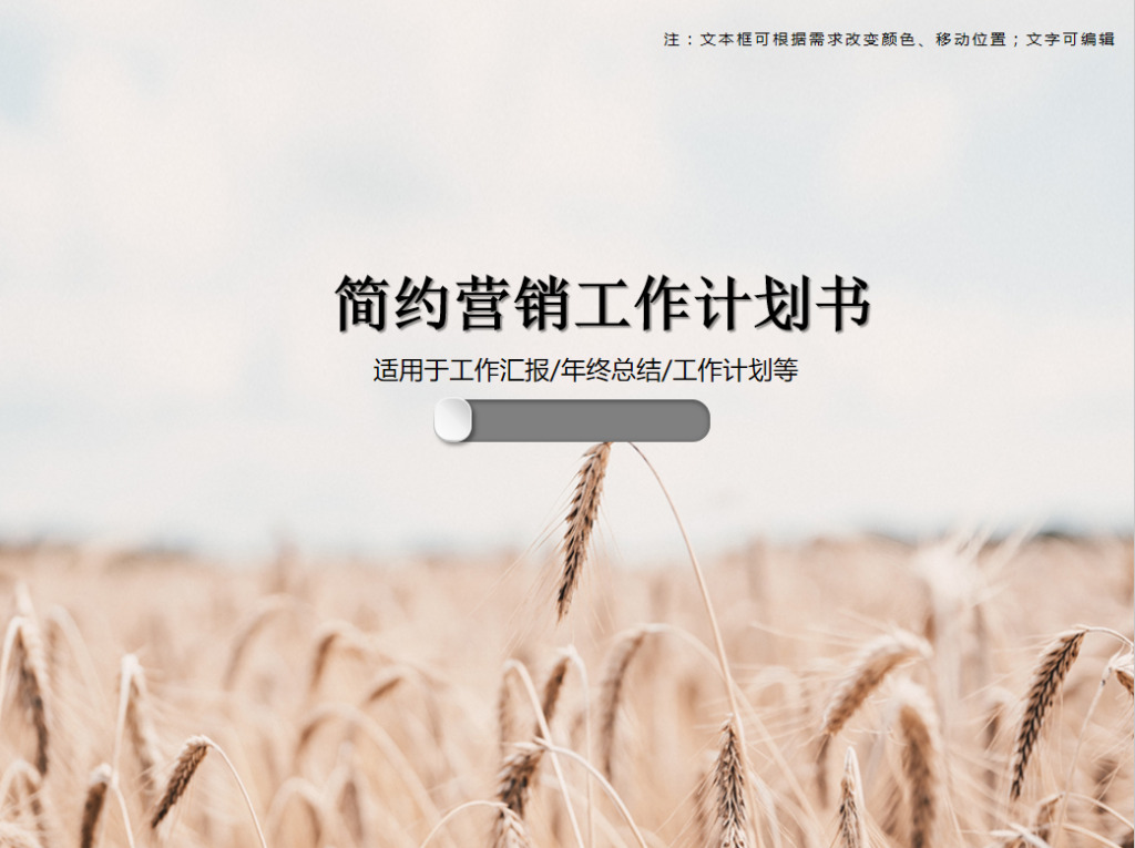 简约营销工作计划书PPT模板