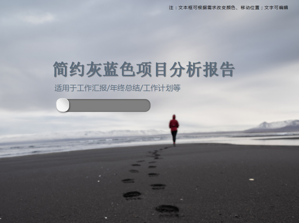 简约灰蓝色项目分析报告PPT模板