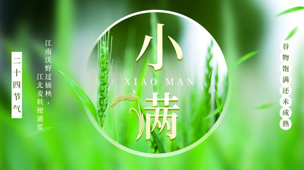 小满二十四节气文艺海报