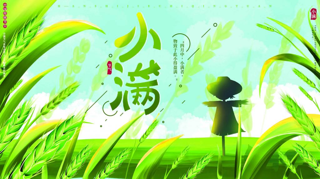 传统二十四节气小满清新文艺海报