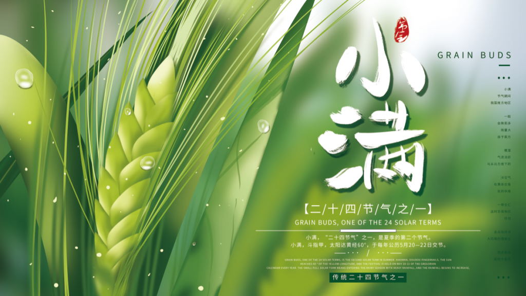 文艺二十四节气小满节气海报