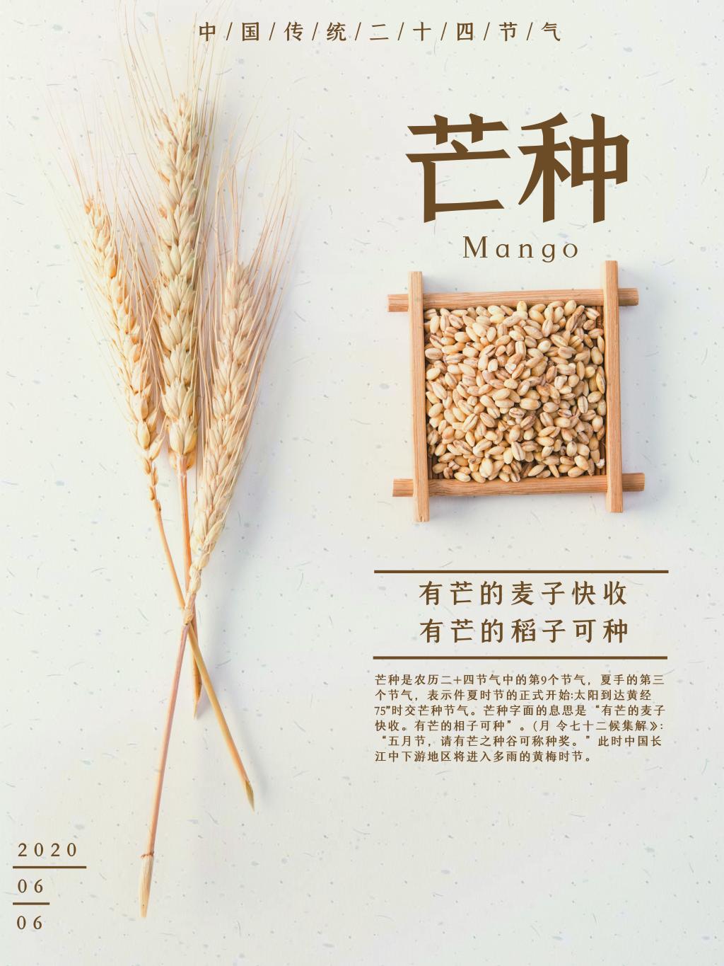 简约传统二十四节气芒种海报