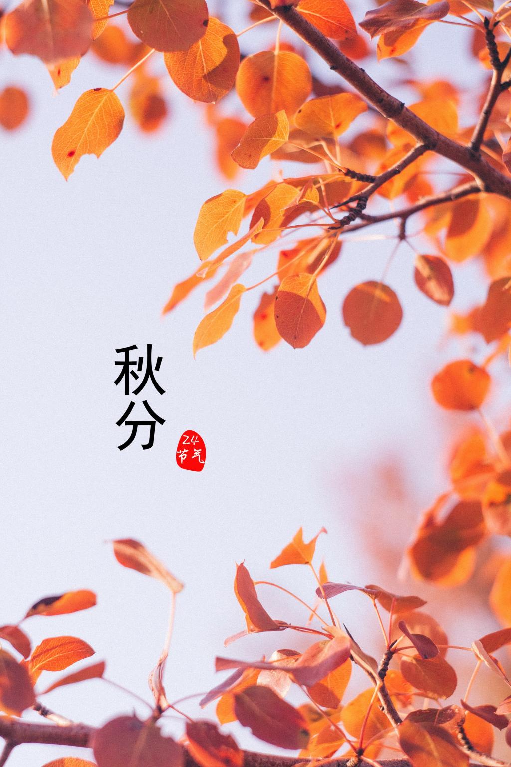 秋分节气图片