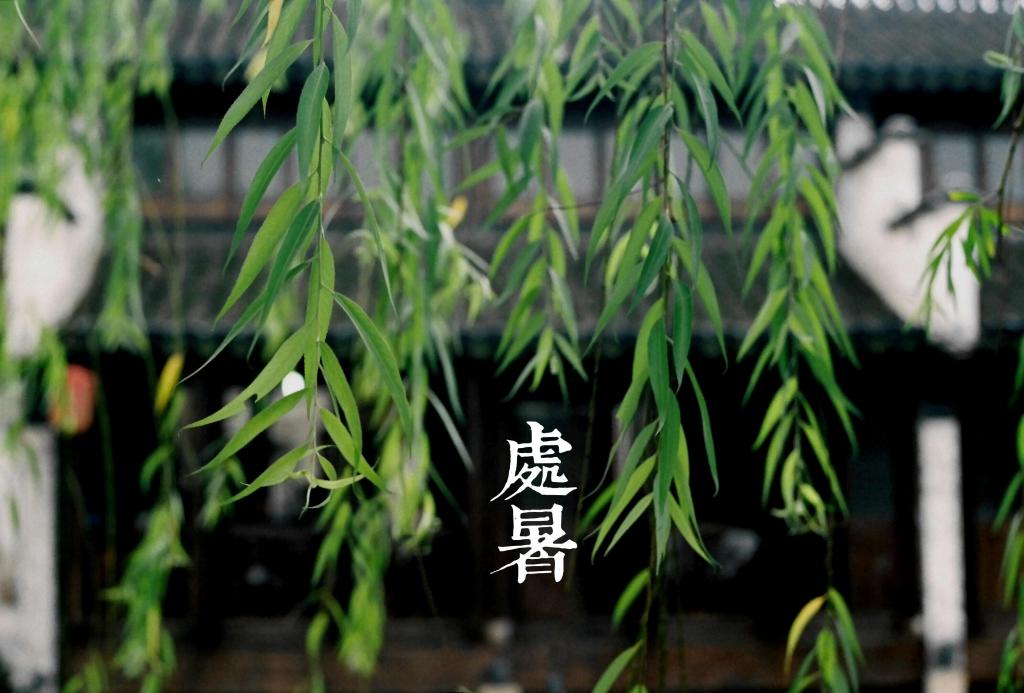 二十四节气处暑图片
