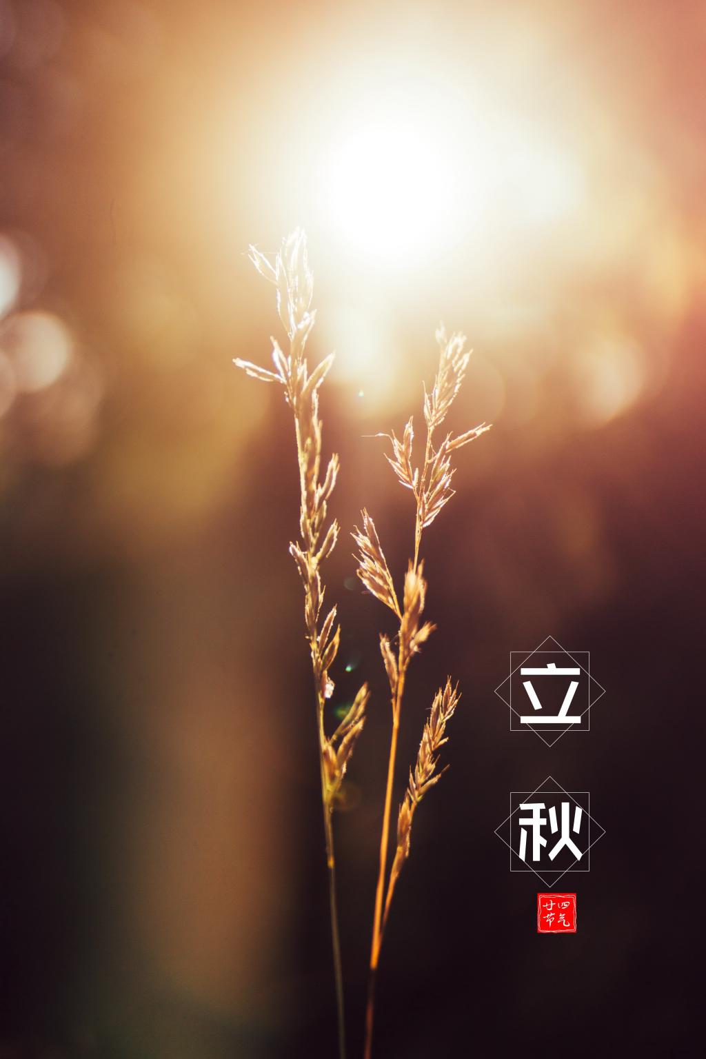 立秋节气图片