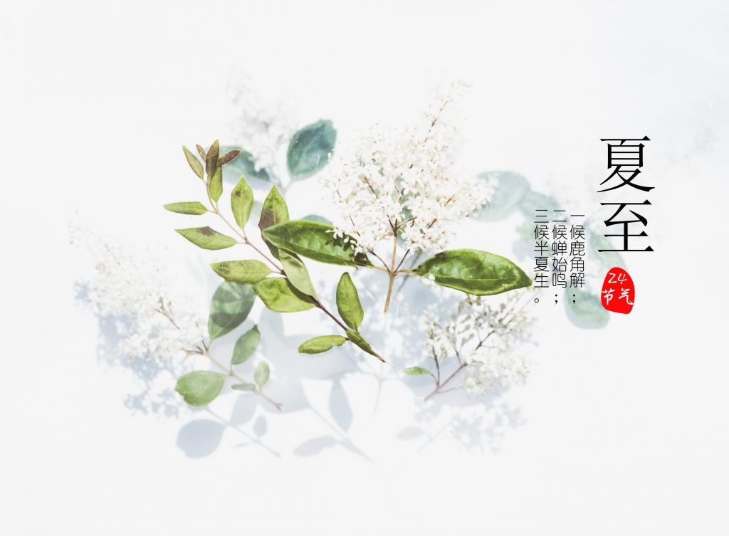 二十四节气夏至图片