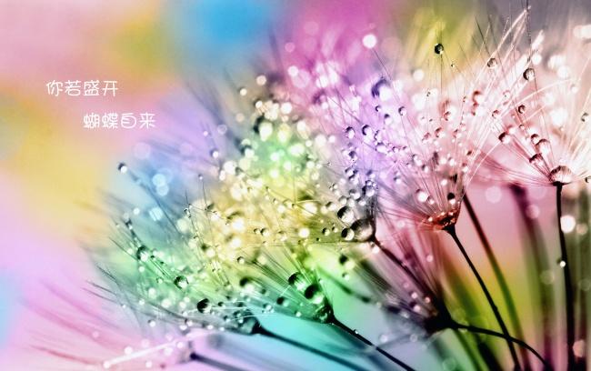 小清新治愈系文字