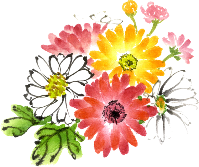 水彩菊花免抠图