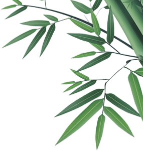 竹节 竹叶边角修饰免抠图