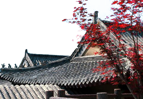 枫叶和古建筑