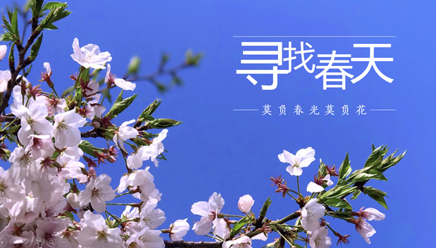 寻找春天——华中农业大学院部简介ppt模板