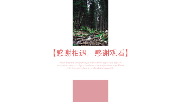 粉色大气高端时尚工作总结报告ppt模板