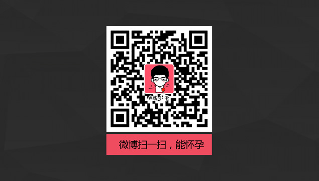 一张图看懂锤子科技2015冬季新品发布会ppt模板