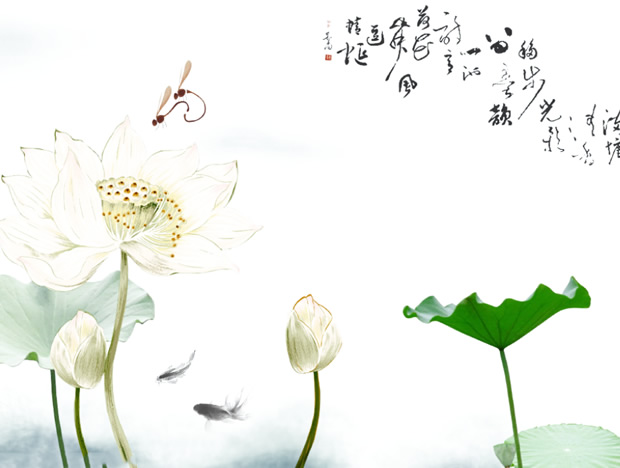 荷花——中国风PPT模板
