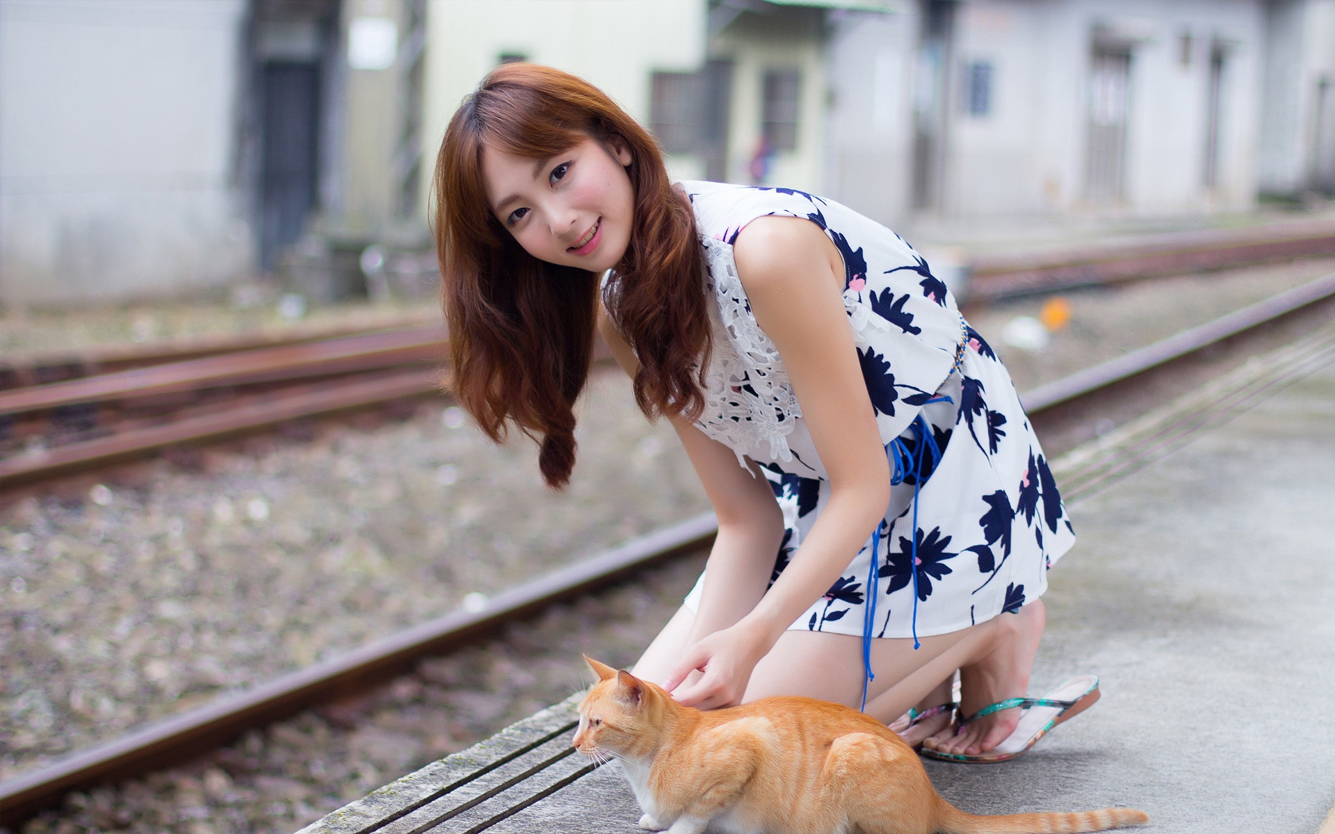 清新养眼美女图片桌面壁纸