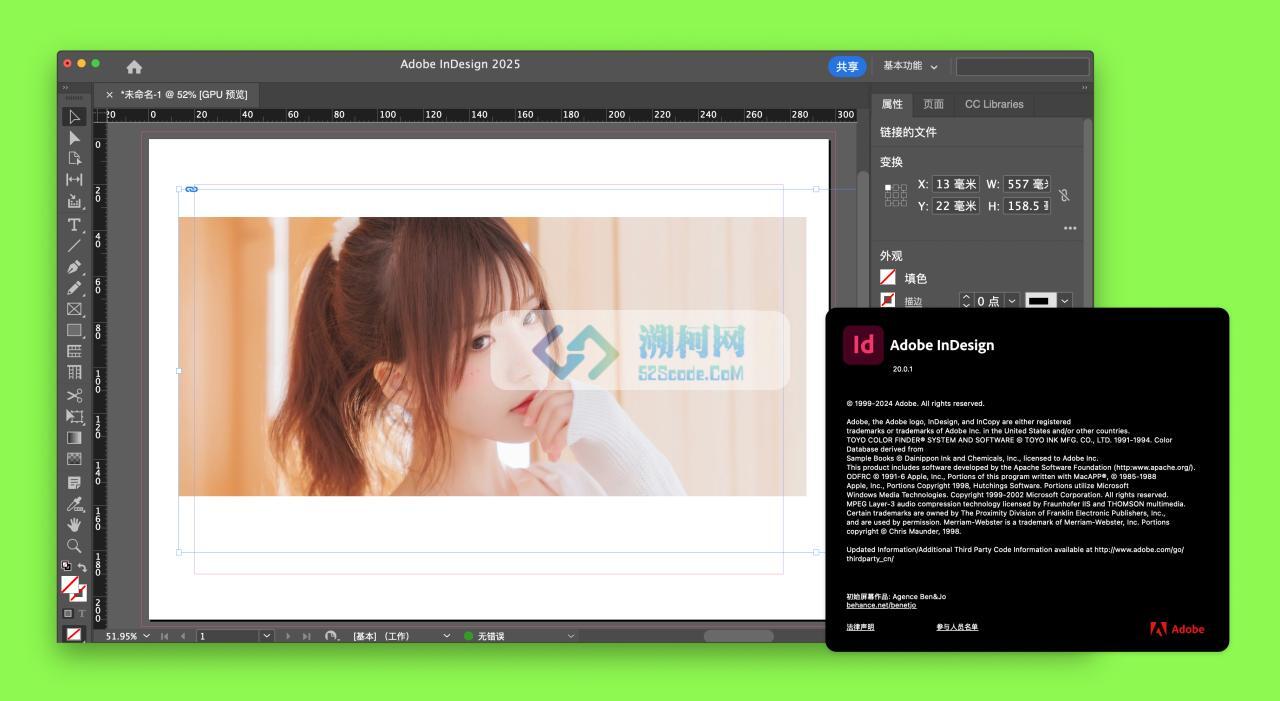 Adobe InDesign 2025 for Mac v20.0.1 中文激活版 intel/M通用 (id 2025)
