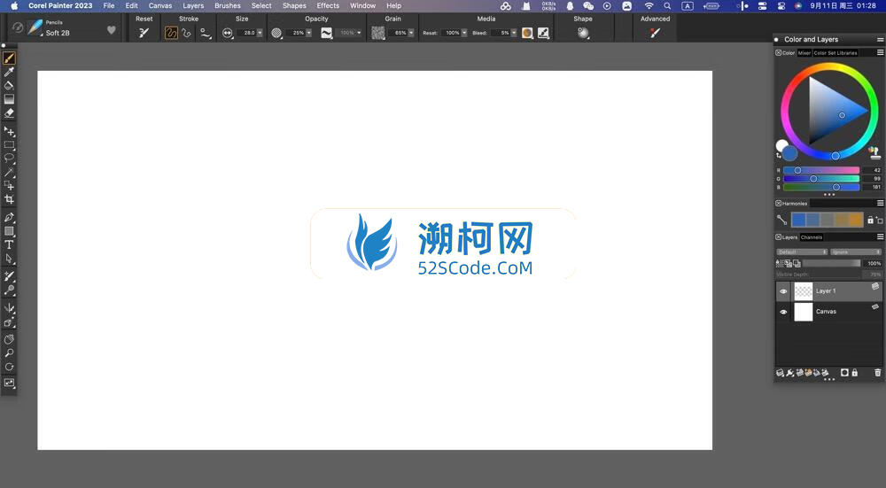 Corel Painter 2023 for mac v23.0.0.352激活版 强大的数字绘画软件