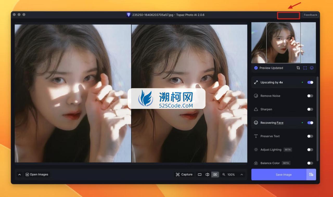 Topaz Photo AI for Mac v3.6.2 补丁版人工智能降噪软件无损放大