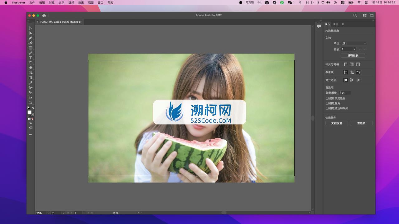 Illustrator 2022 for Mac v26.1激活版 intel/M1通用 (Ai 2022中文版)