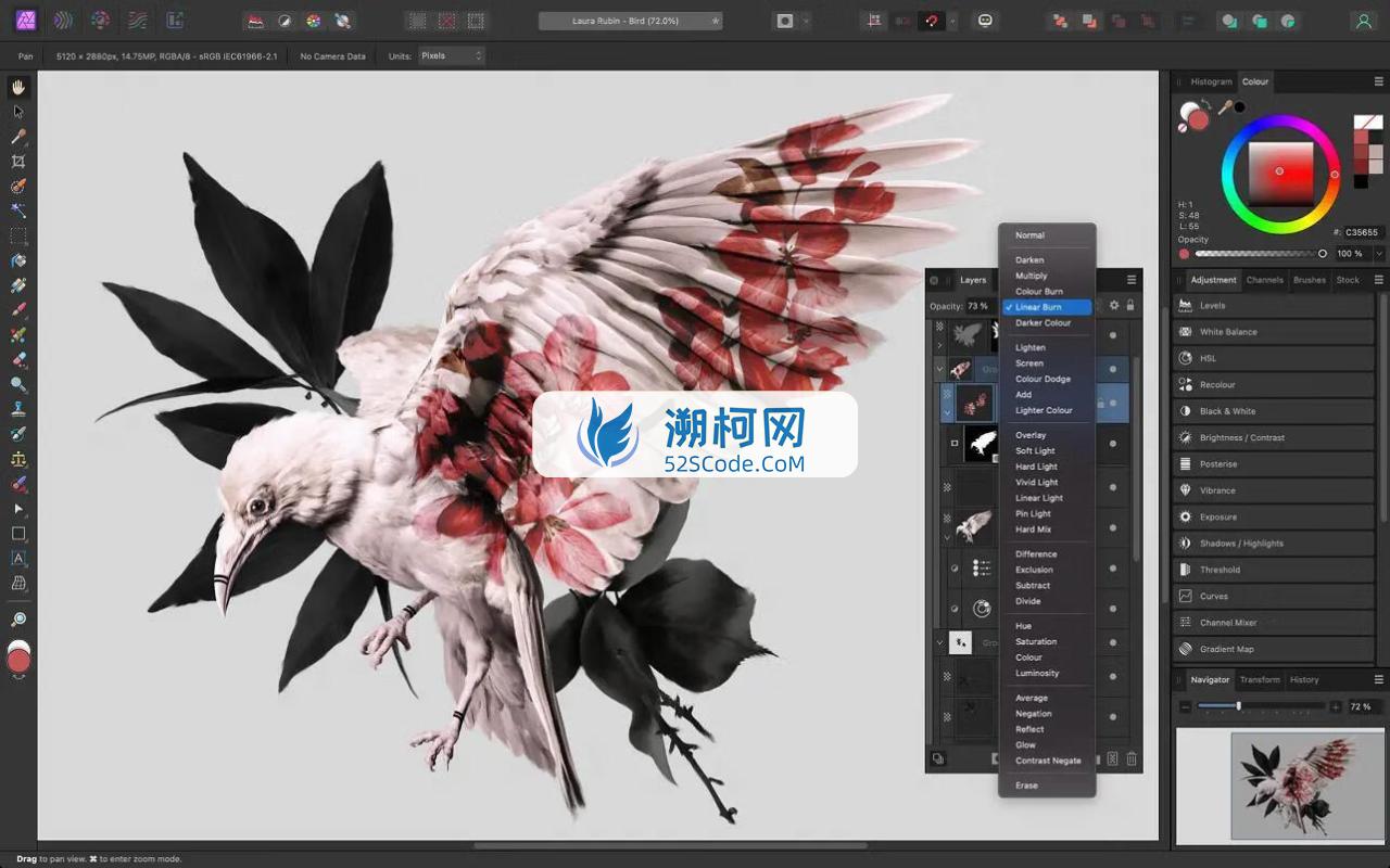 Affinity Photo for Mac v2.4.2.2371中文版 好用的图片处理软件
