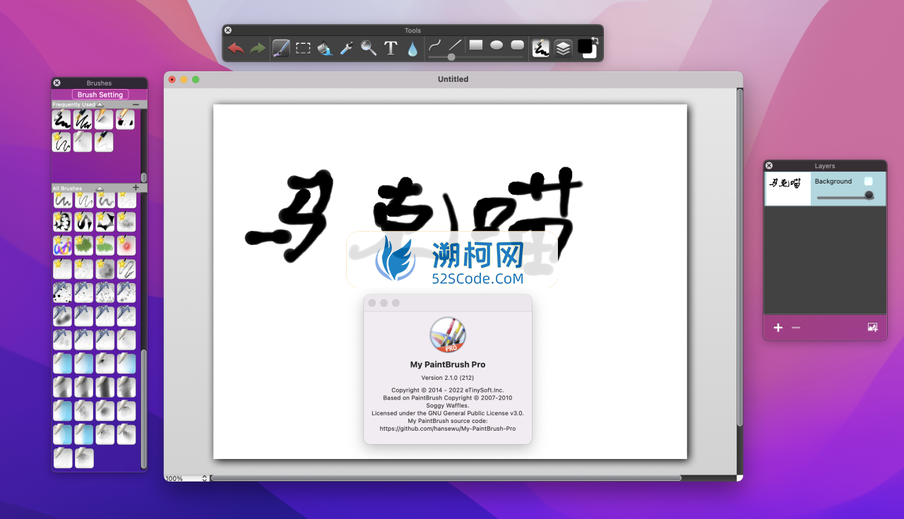 My PaintBrush Pro专业版for mac v2.1.0英文激活版 mac绘图软件