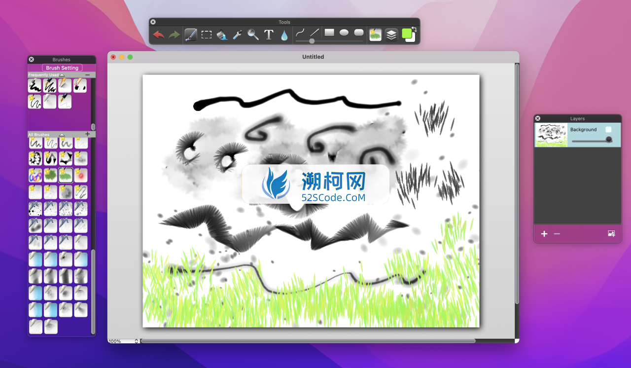 My PaintBrush Pro专业版for mac v2.1.0英文激活版 mac绘图软件