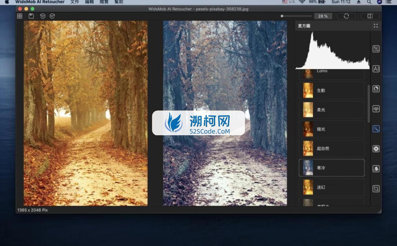 WidsMob AI Retoucher for Mac v3.18 中文版 AI照片编辑工具
