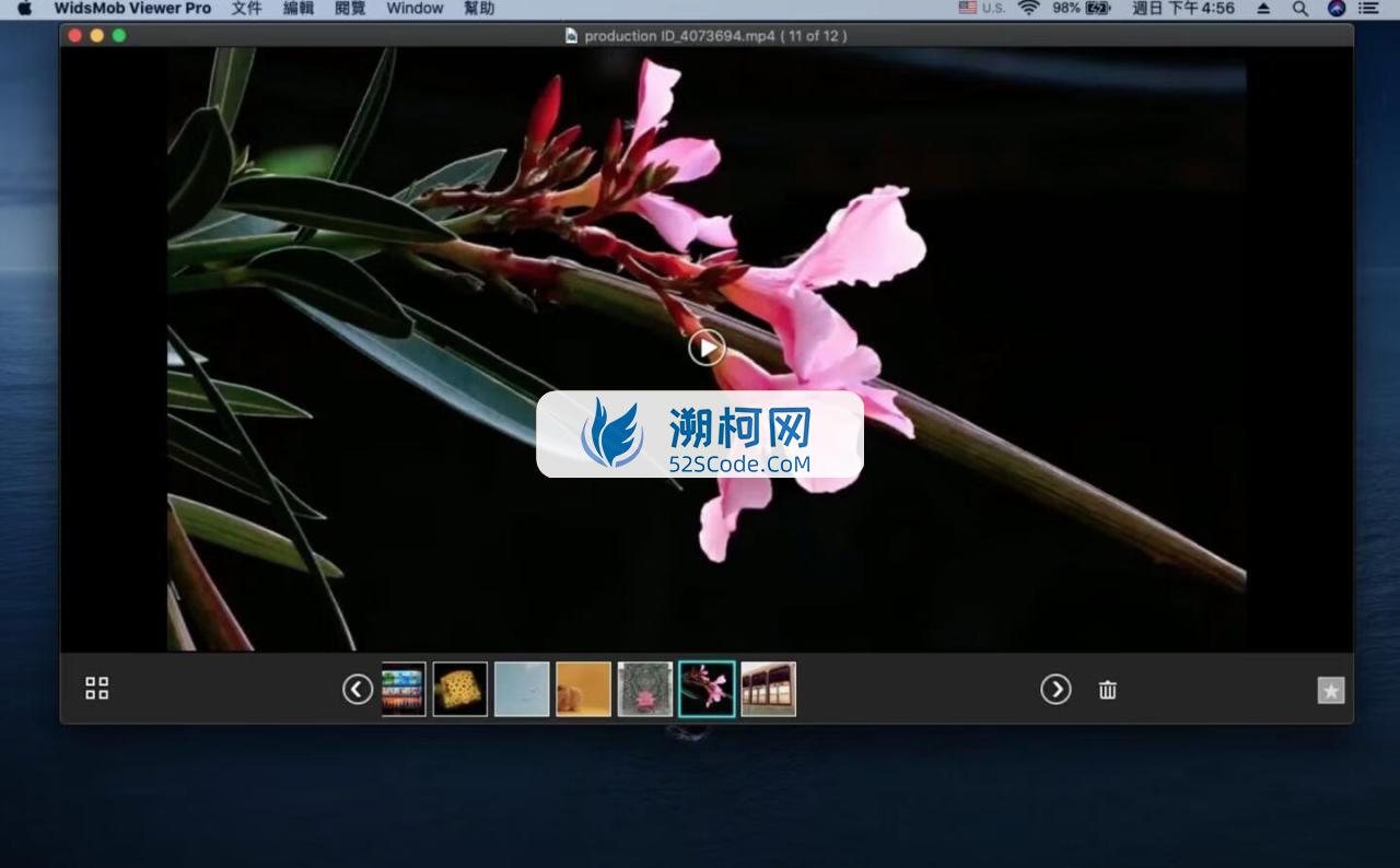 WidsMob Viewer Pro Mac v2.20激活版 照片与视频管理查看工具