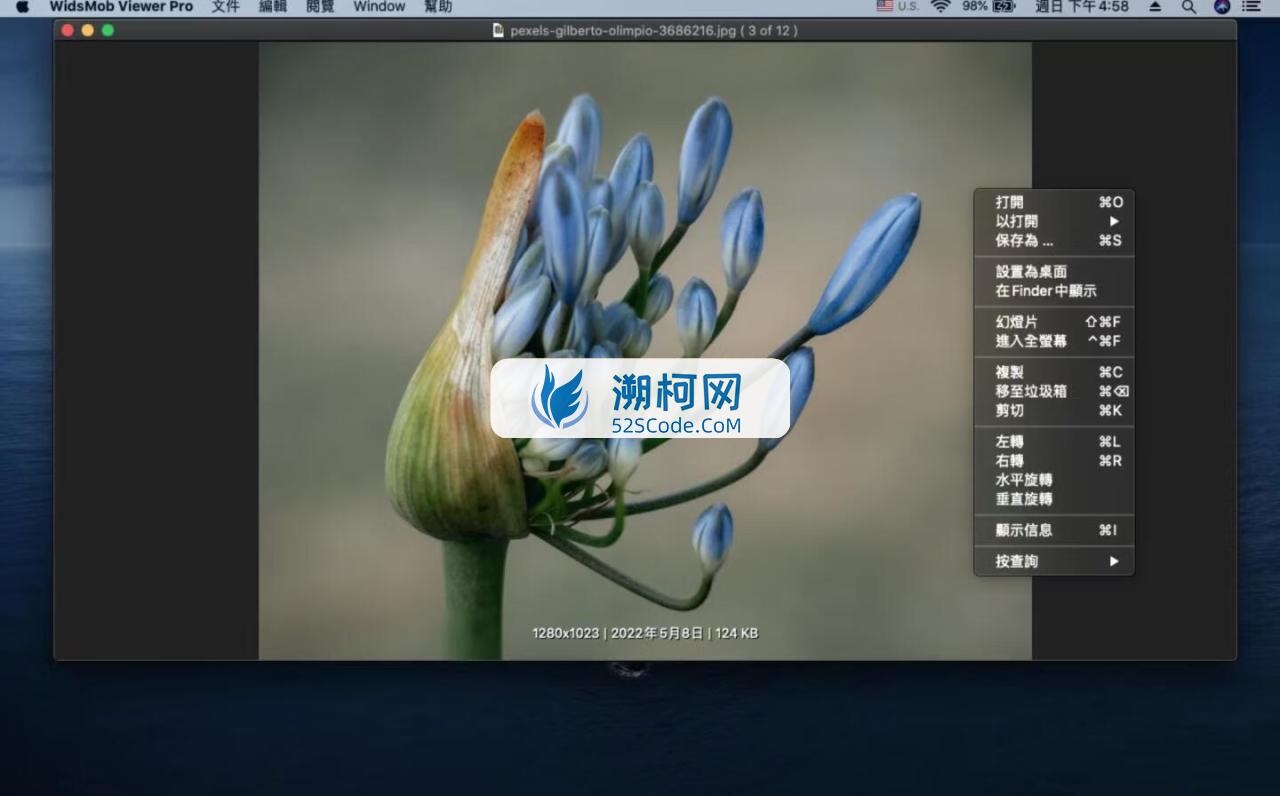 WidsMob Viewer Pro Mac v2.20激活版 照片与视频管理查看工具