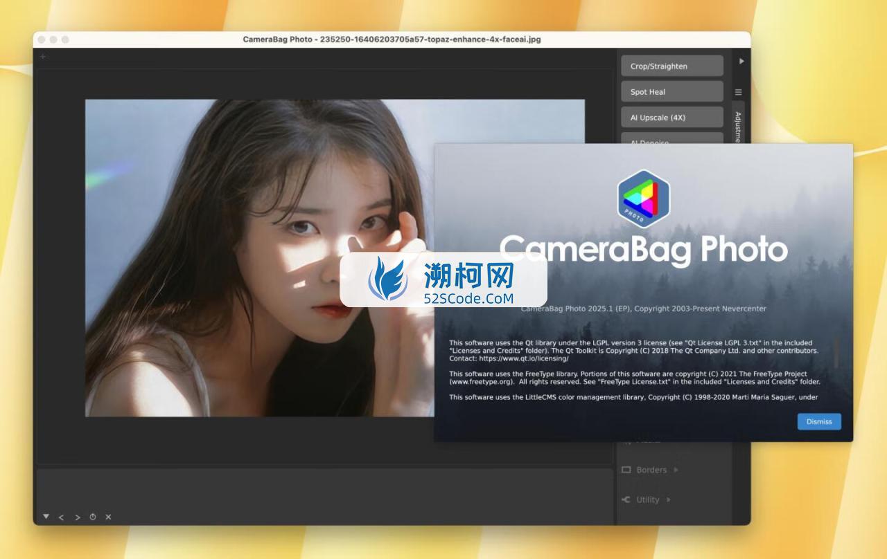 Nevercenter CameraBag Photo for Mac v2025.1.0激活版 照片滤镜美化软件