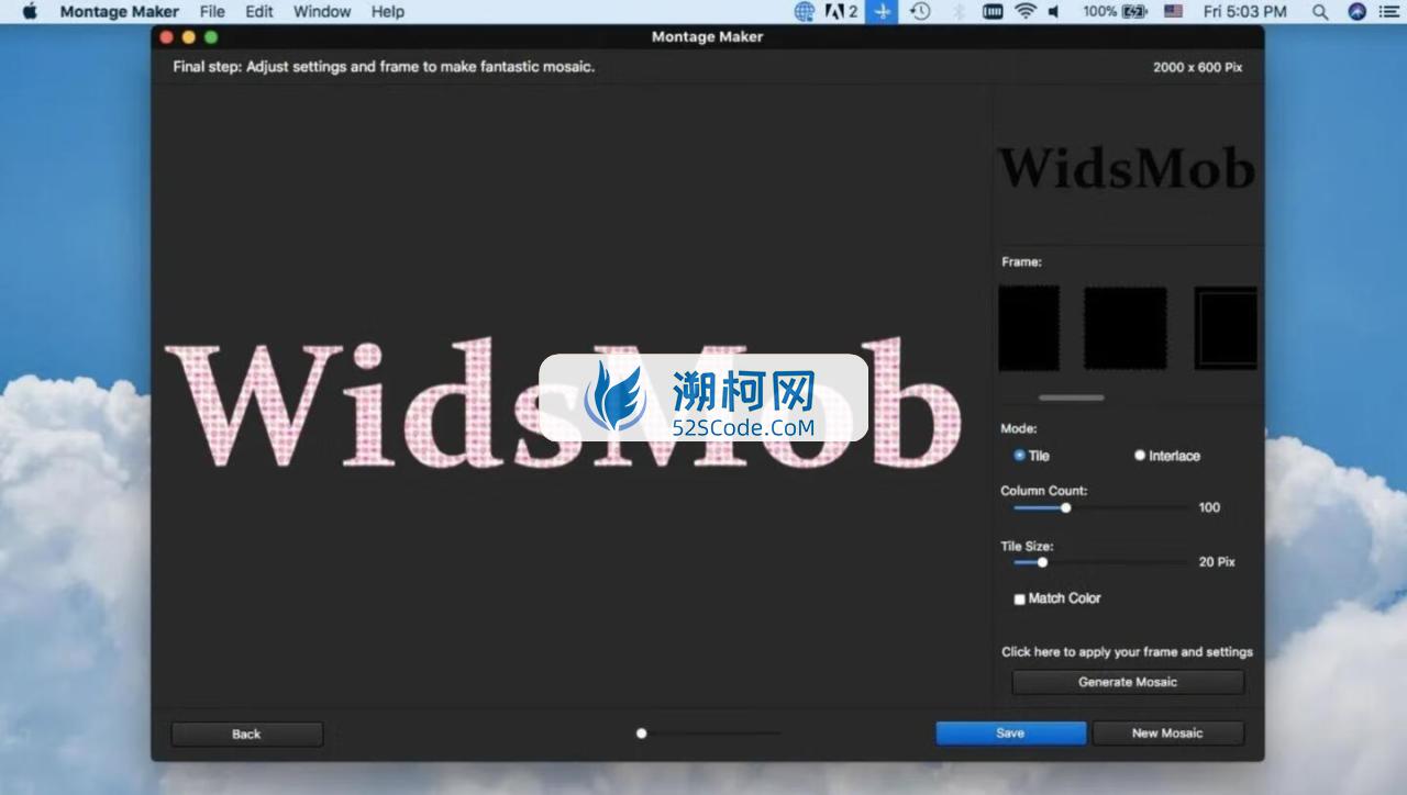 WidsMob Montage for Mac v3.27激活版 蒙太奇图片制作