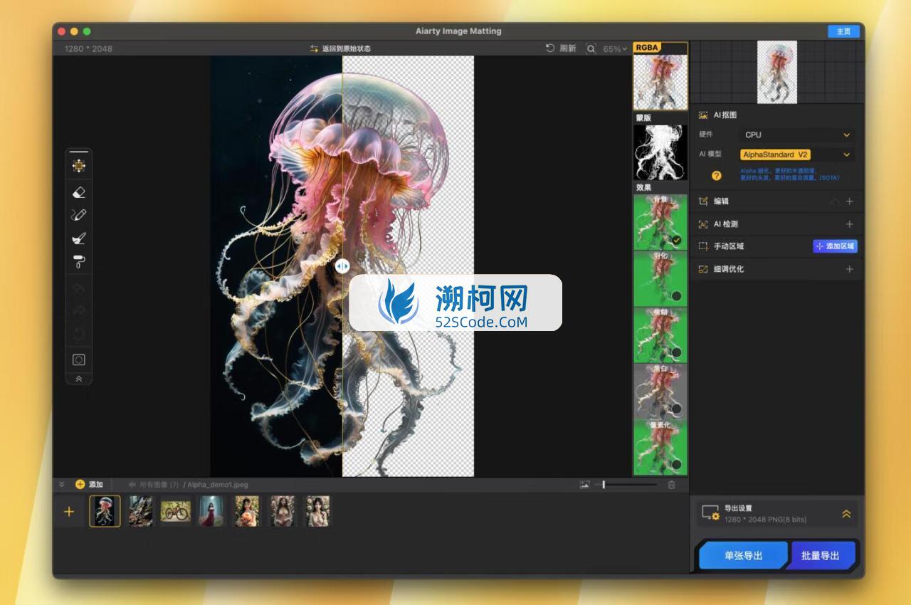 Aiarty Image Matting for Mac v2.3激活版 AI图像抠图工具