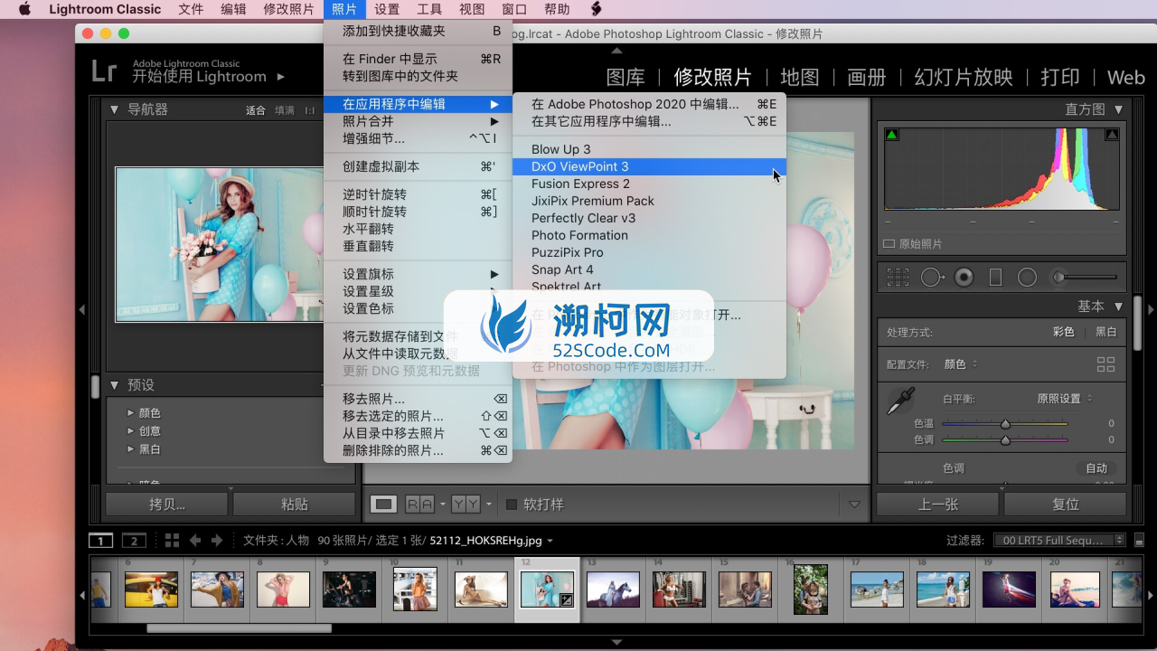 DxO ViewPoint 4 for Mac v4.0.1.156 免激活版 照片修复校正工具