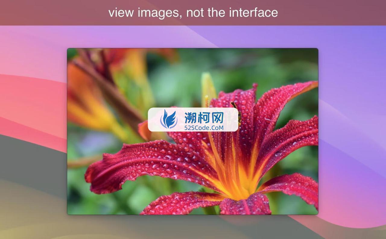LilyView for mac v1.6激活版 轻量级Mac图片浏览器