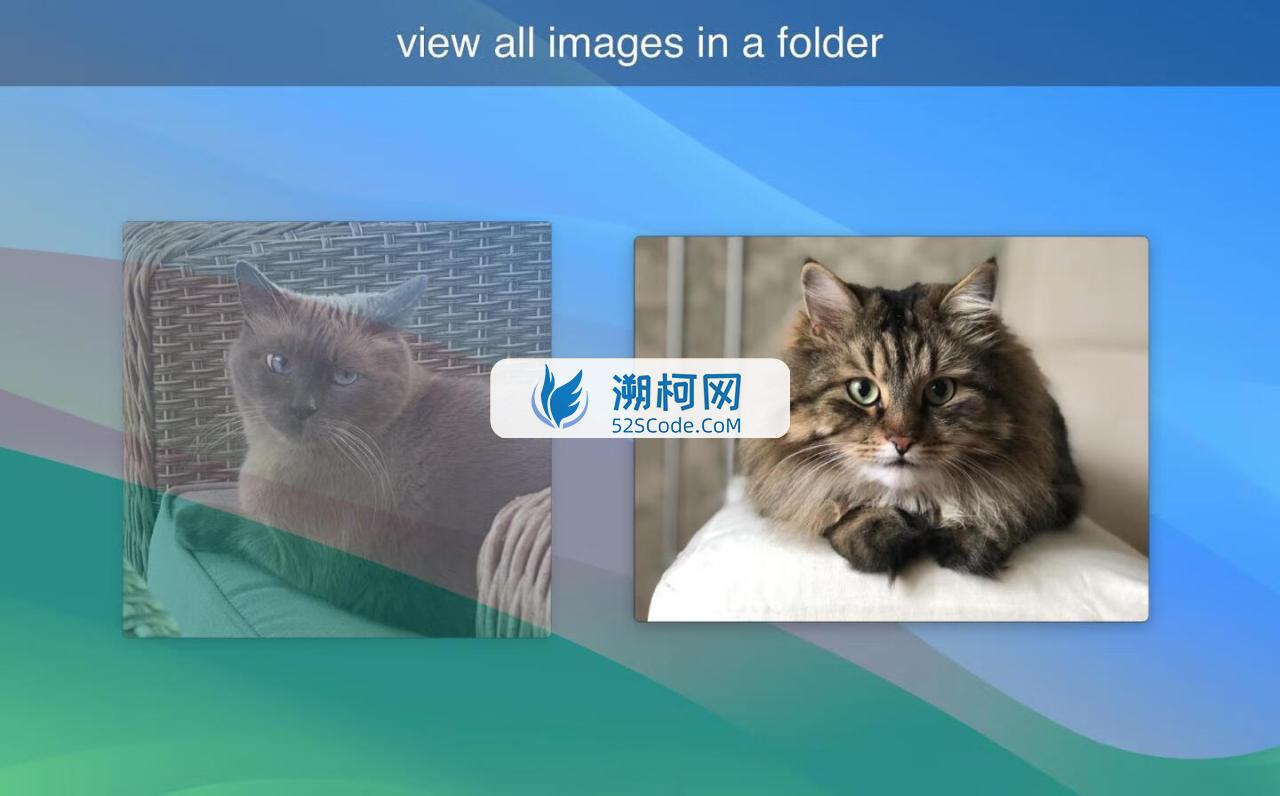 LilyView for mac v1.6激活版 轻量级Mac图片浏览器