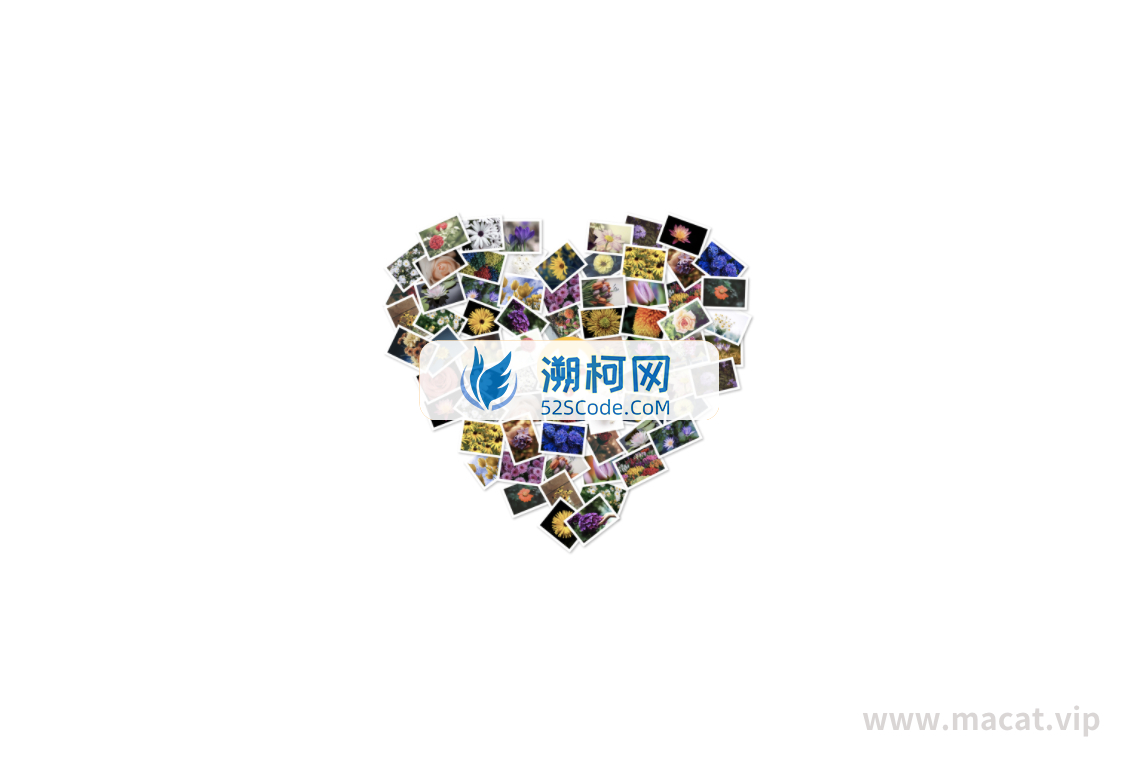 FigrCollage for Mac v3.2.7 中文破解版 – 将照片拼成任意形状的照片墙