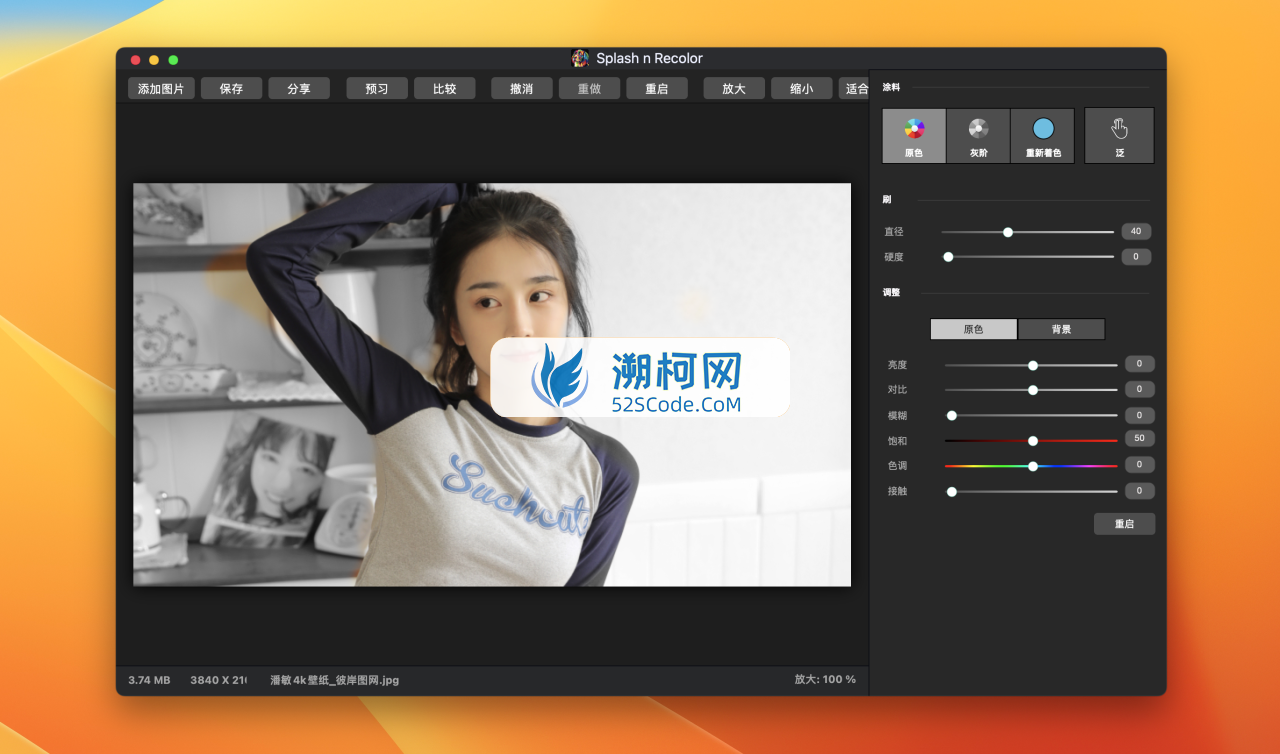 Splash n Recolor for Mac v4.3激活版 图像重新着色工具软件