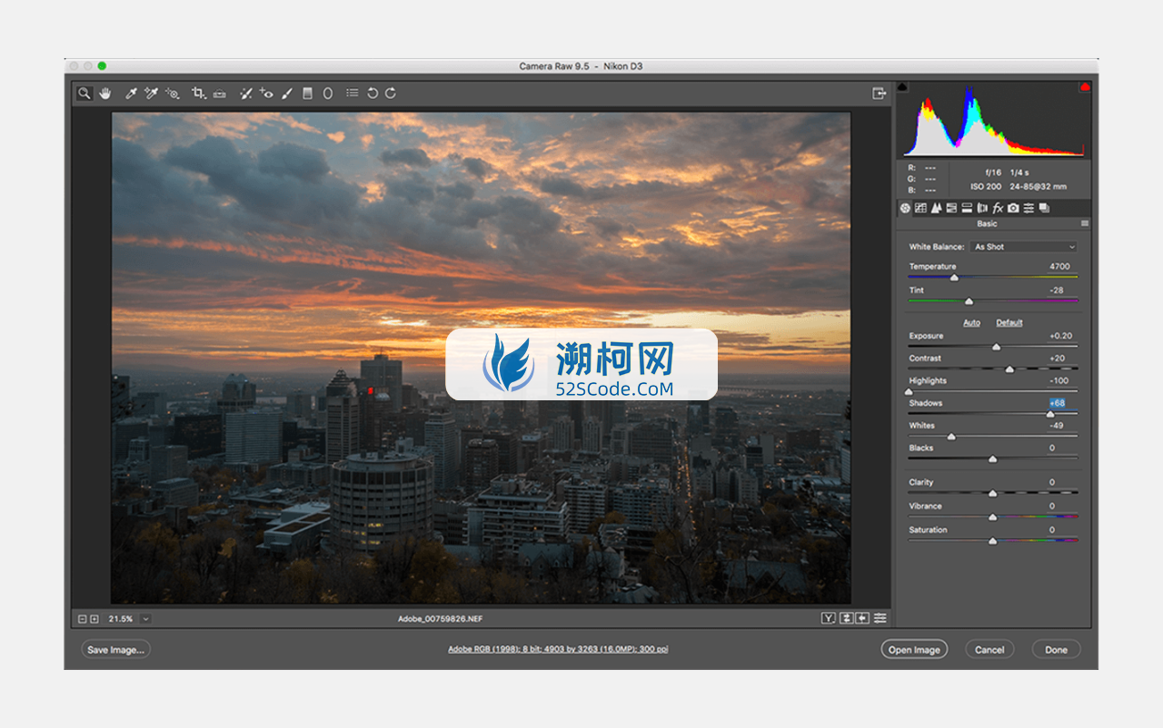Adobe CameraRaw For Mac v14.5.0.1177 强大的RAW文件编辑工具
