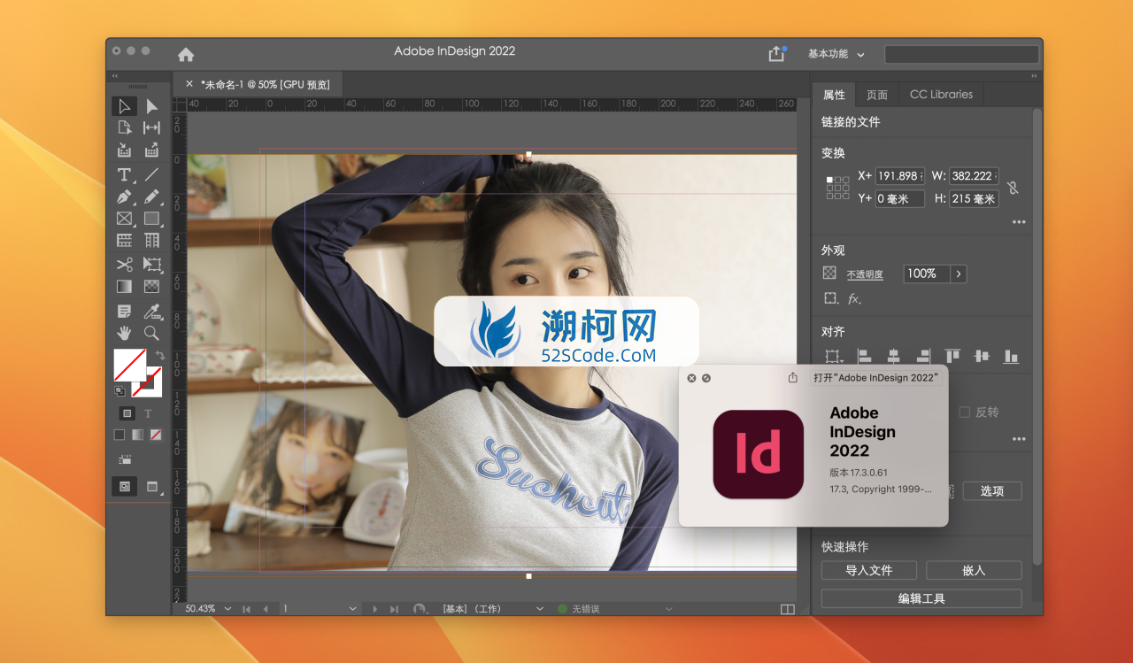 InDesign 2022 for Mac v17.4 Rid中文激活版 intel/M1通用 (id 2022)