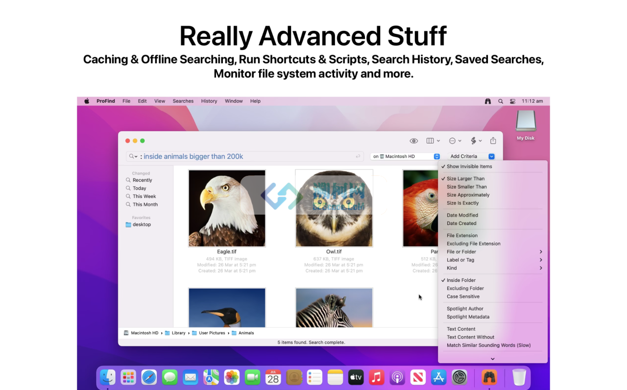 ProFind for Mac v1.30 (13003) 激活版 mac文件搜索工具
